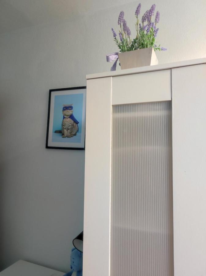 Single Room No.4 In The Very Center Of Varsavia Esterno foto